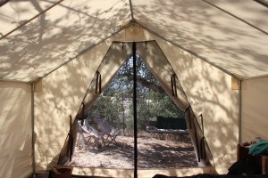 view from the tent cabin