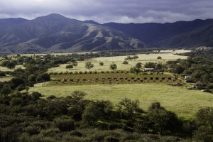 Ranch from hill 1