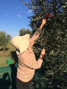 Robbie reaching for those olives.