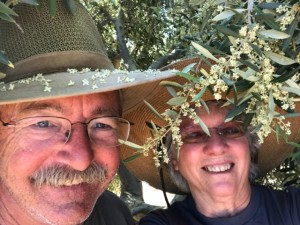 Steve & Robbie under a flowering olive tree