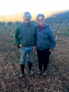 Happy New Year! Steve & Robbie stand in the Vineyard in the last light of 2015.