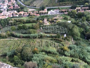 The landscape of the Umbria region of Italy has been farmed for 1000s of years. 